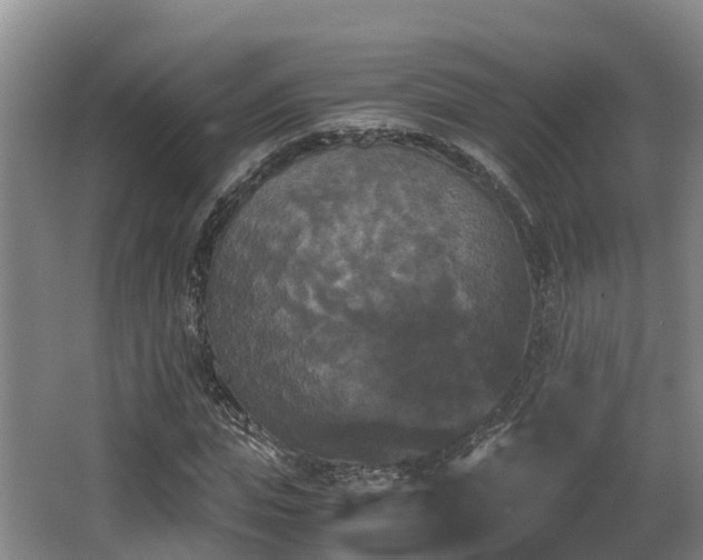 X0000062830823200601171417