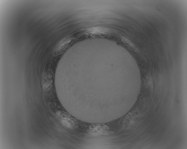 X0000062830824200601171417