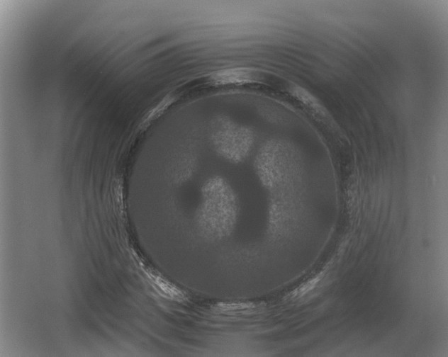 X0000062830825200601171417