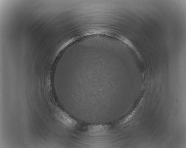 X0000062830826200601171417