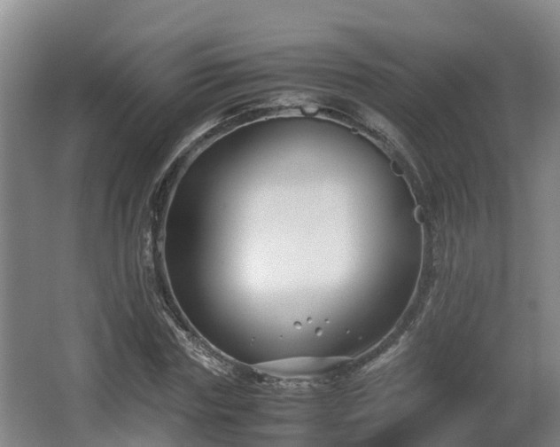 X0000062830827200601171417