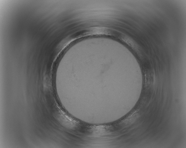 X0000062830828200601171417