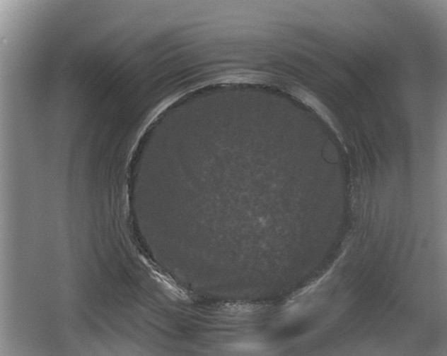 X0000062830829200601171417