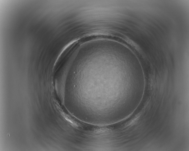 X0000062830830200601171417