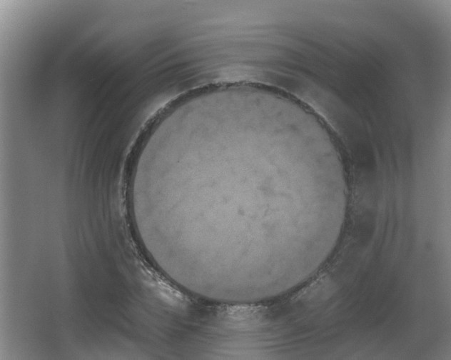 X0000062830832200601171417