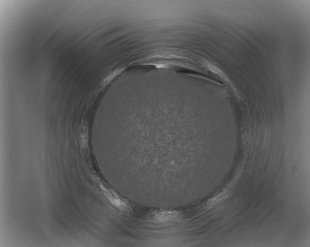 X0000062830833200601171417