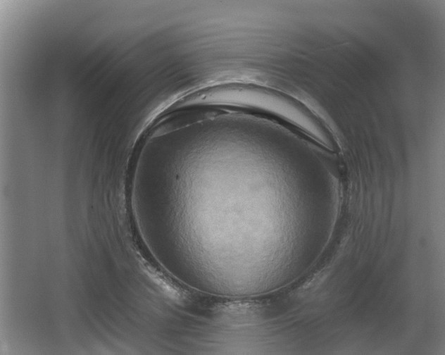 X0000062830834200601171417