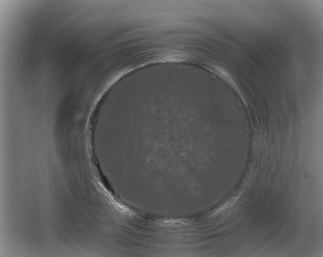 X0000062830835200601171417