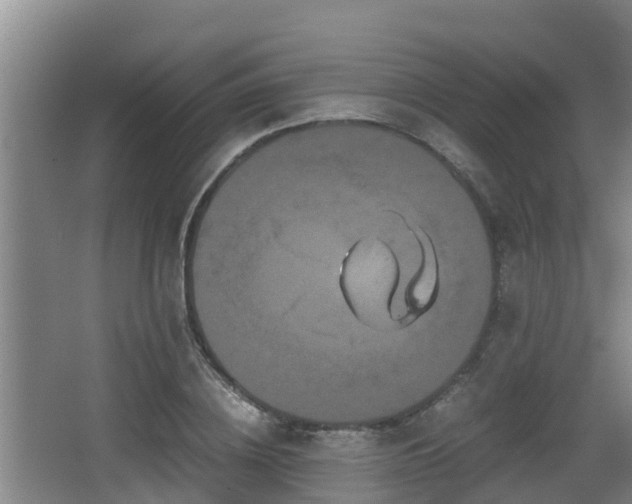 X0000062830836200601171417