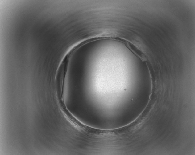 X0000062830838200601171417