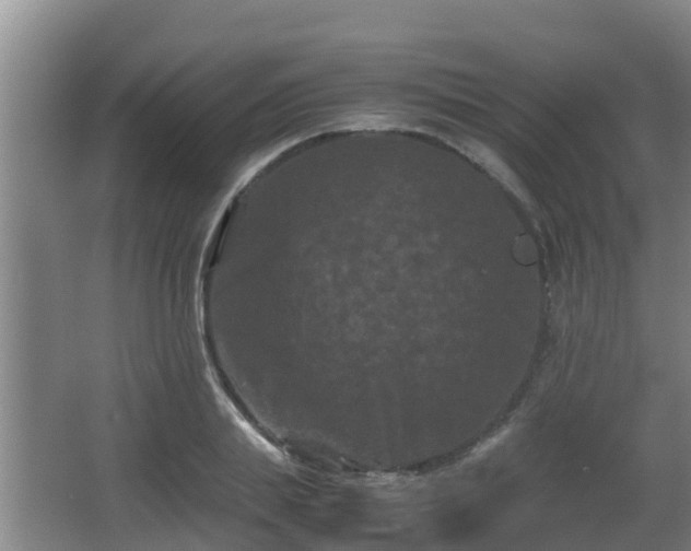 X0000062830839200601171417