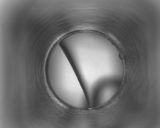 X0000062830840200601171417