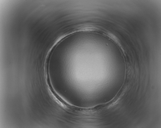 X0000062830843200601171417