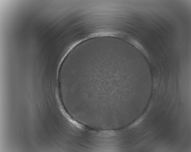 X0000062830844200601171417