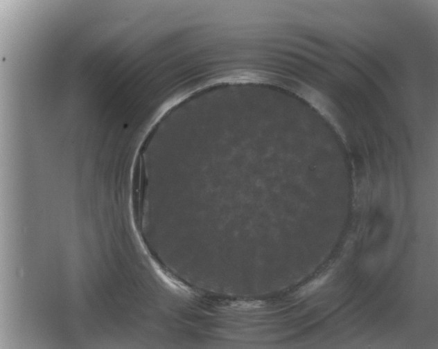 X0000062830845200601171417