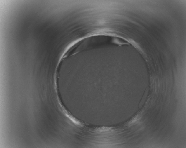 X0000062830846200601171417