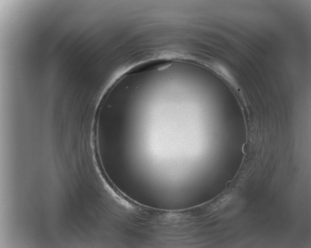 X0000062830847200601171417