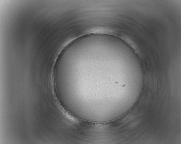 X0000062830848200601171417