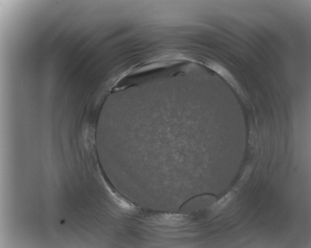 X0000062830849200601171417