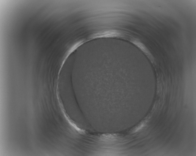 X0000062830850200601171417