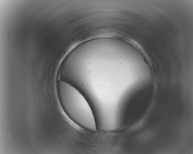 X0000062830851200601171417