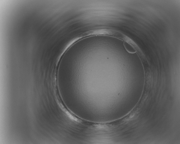 X0000062830852200601171417