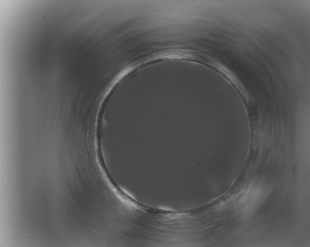 X0000062830853200601171417