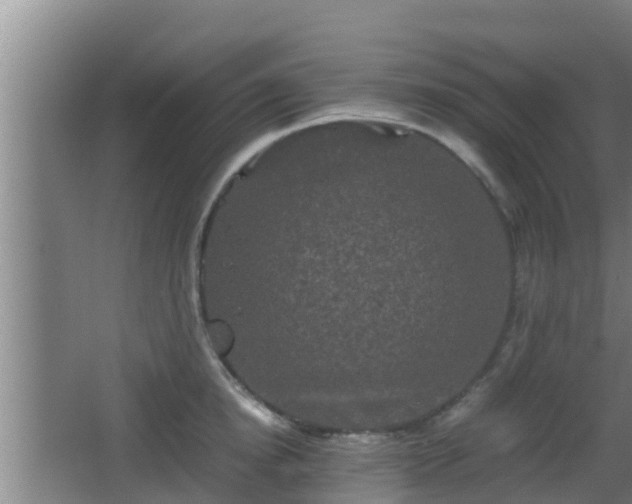 X0000062830854200601171417