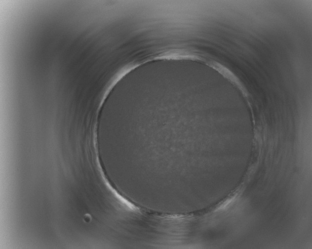 X0000062830855200601171417