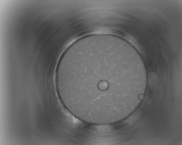 X0000062830856200601171417