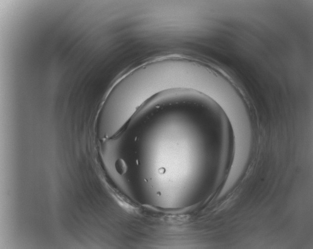 X0000062830858200601171417