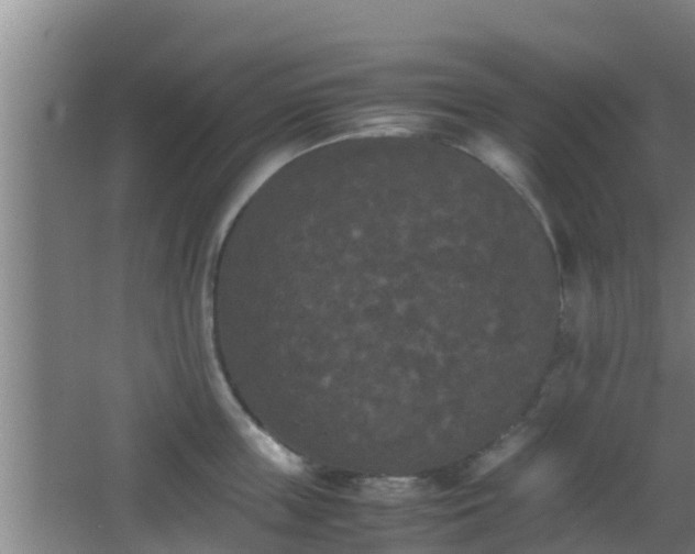 X0000062830859200601171417