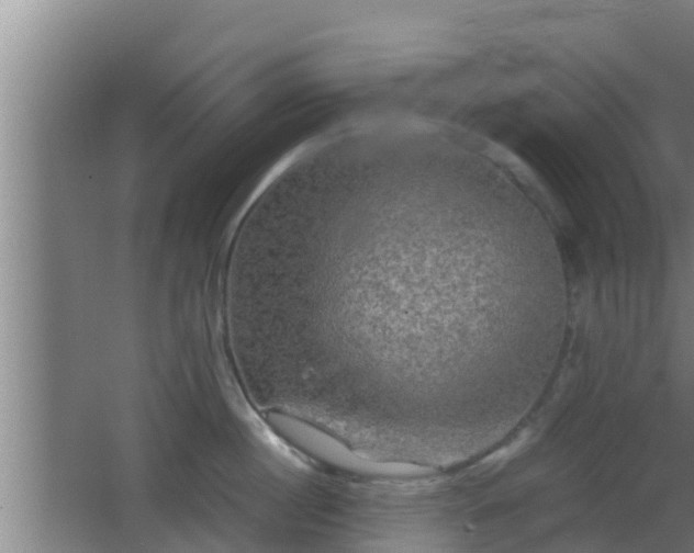 X0000062830860200601171418