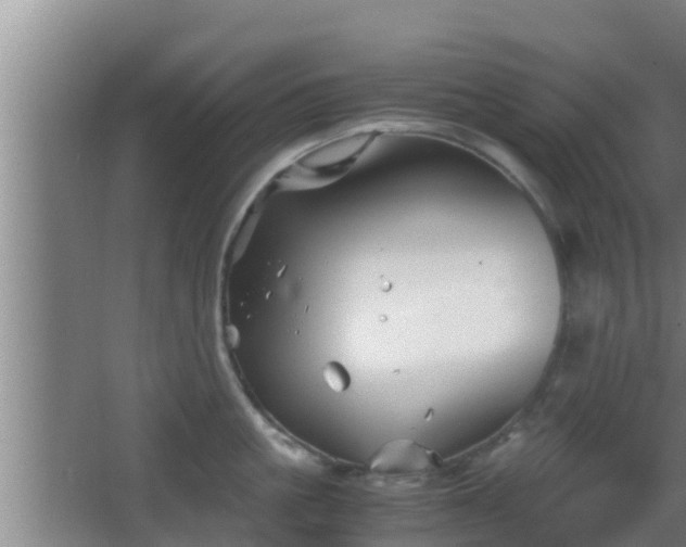 X0000062830861200601171418