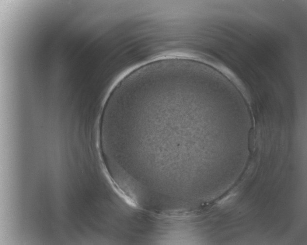 X0000062830862200601171418