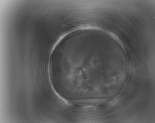 X0000062830863200601171418