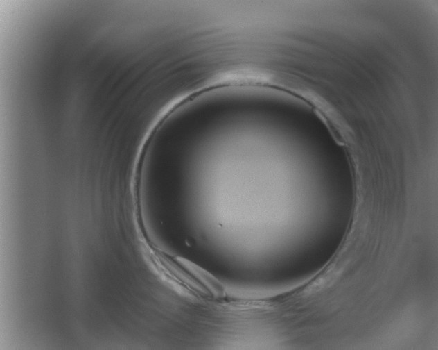 X0000062830864200601171418