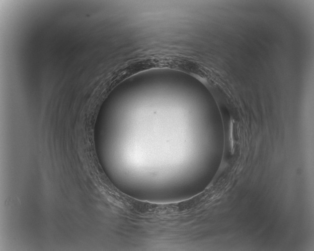 X0000062830865200601171417