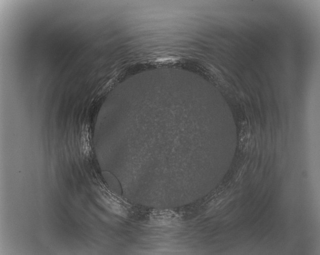 X0000062830866200601171417