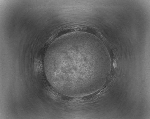 X0000062830867200601171417