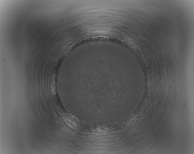 X0000062830868200601171417