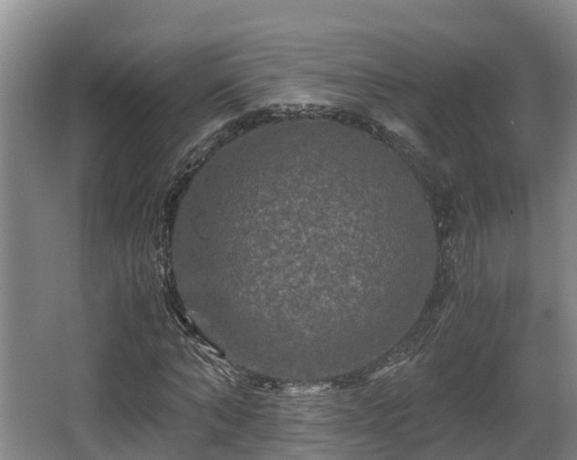 X0000062830870200601171417