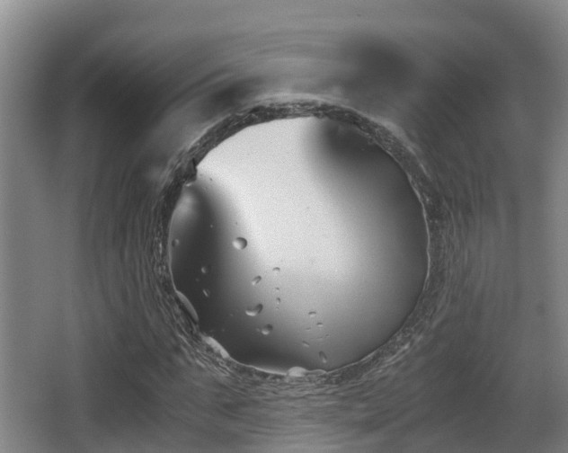 X0000062830871200601171417