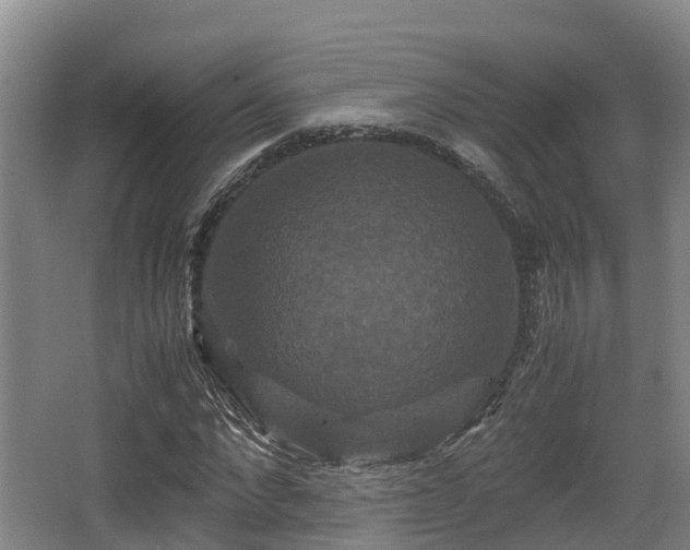 X0000062830872200601171417