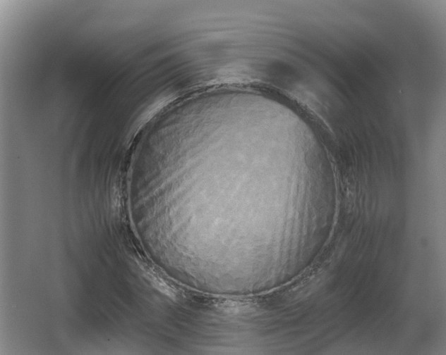 X0000062830874200601171417