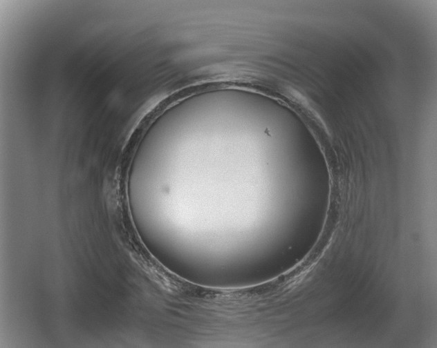 X0000062830875200601171417