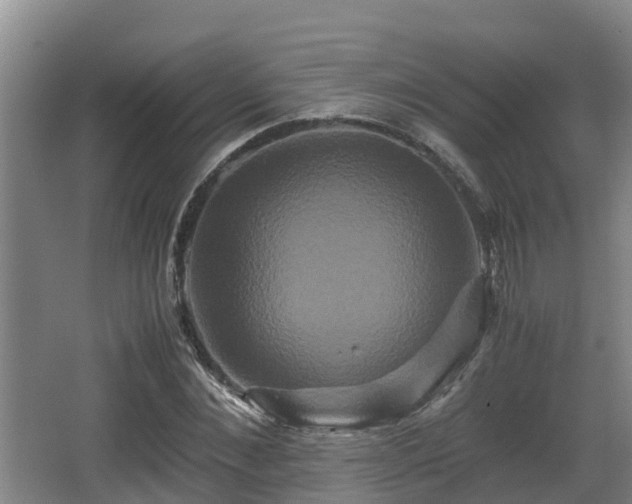 X0000062830876200601171417