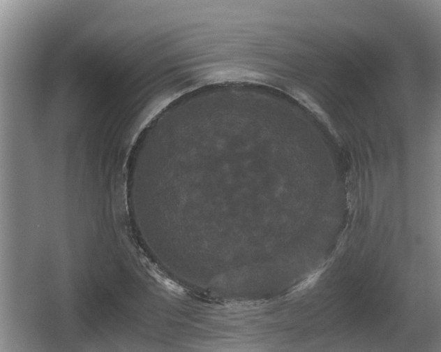 X0000062830877200601171417