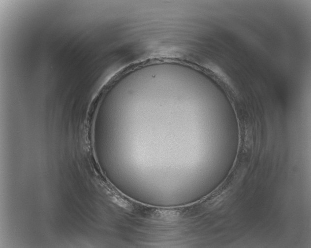 X0000062830878200601171417