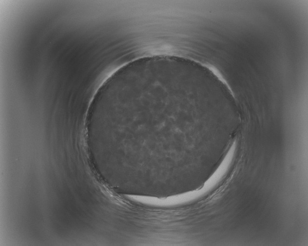 X0000062830879200601171417